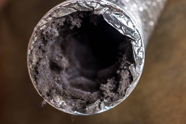 Best Air Duct Cleaning Near Me  in Rock Falls, IL