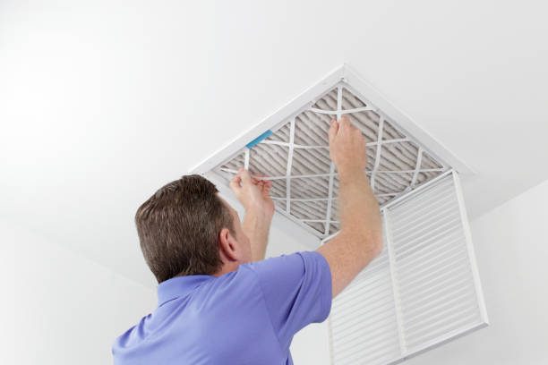 Best Ductwork Cleaning Services  in Rock Falls, IL